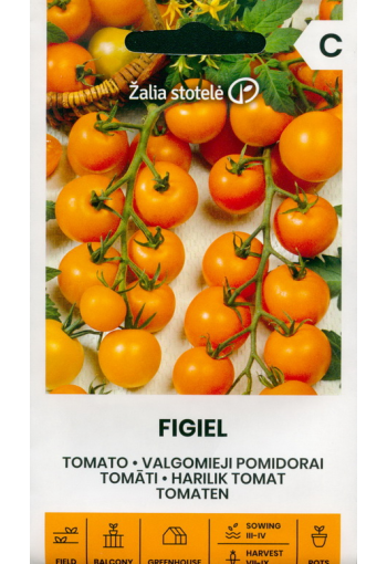 Tomato "Figiel"