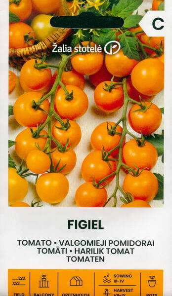 Tomato "Figiel"