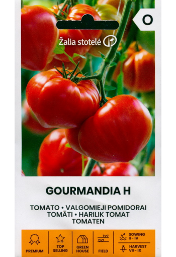 Tomato "Gourmandia" F1