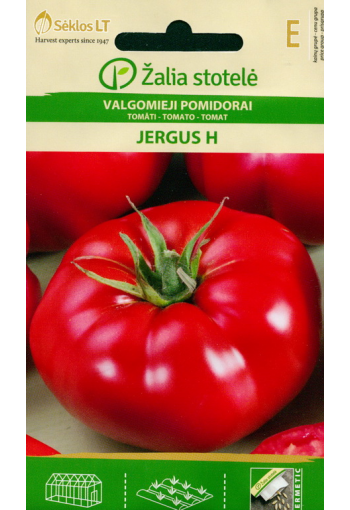 Tomato "Jergus" F1