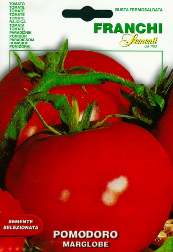 Tomato "Marglobe"