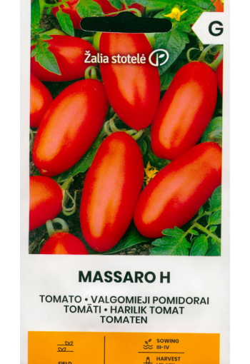 Tomat "Massaro" F1