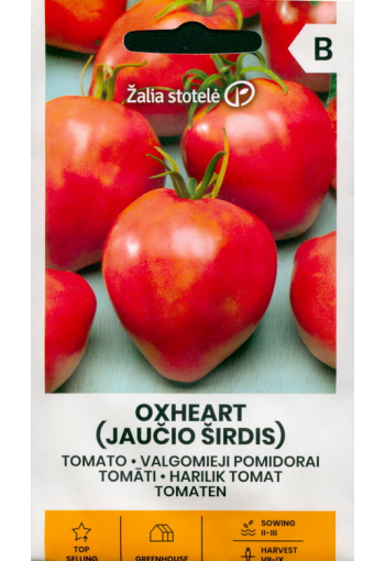 Tomaatti "Oxheart"