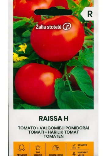 Tomaatti "Raissa" F1