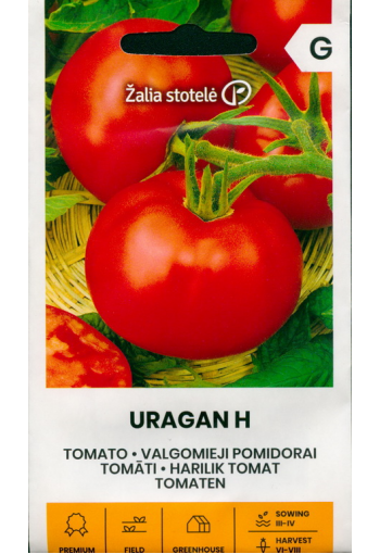 Tomato "Uragan" F1