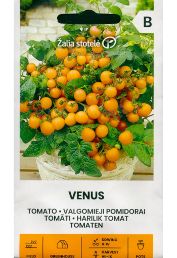 Tomaatti "Venus"