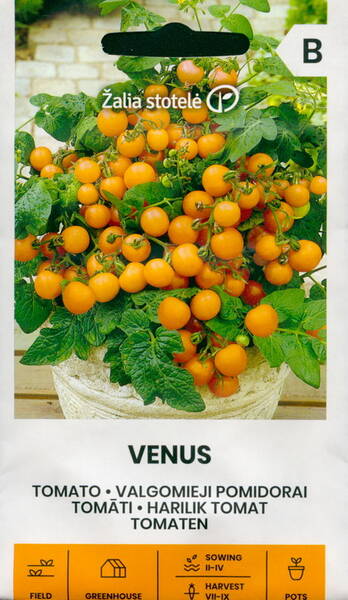 Tomato "Venus"