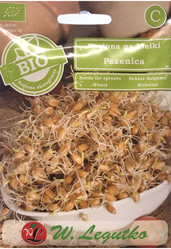 Bread wheat (seeds for germination)