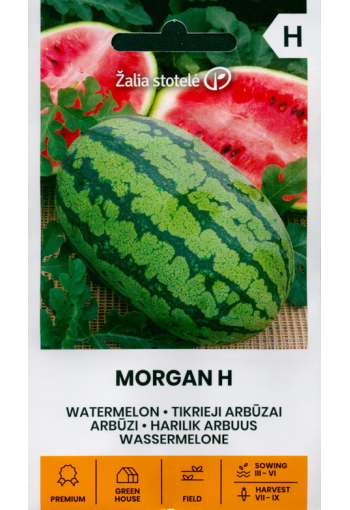 Watermelon "Morgan" F1