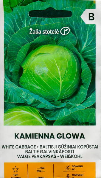 White Cabbage "Kamienna Glowa"