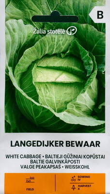 White cabbage "Langedijker Bewaar"