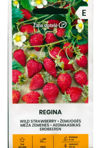 Aedmaasikas remontantne "Regina"