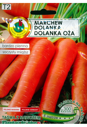 Morot "Dolanka" (frön på tejpen)