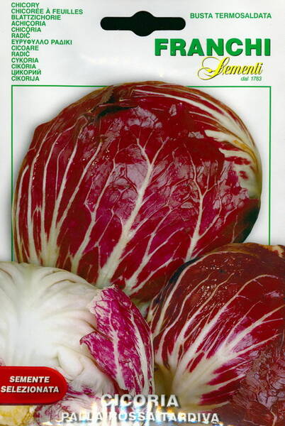 Rosensallat "Palla Rossa Tardiva"