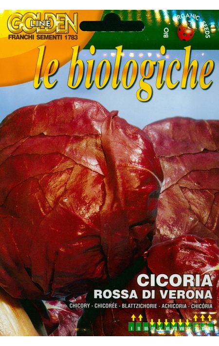 Red chicory salat Rossa di Verona: organic seeds: https://seemnemaailm ...