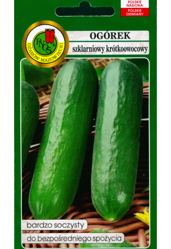 Salad cucumber "Ines"
