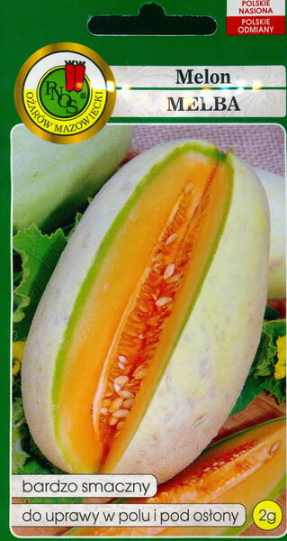 Melon "Melba"