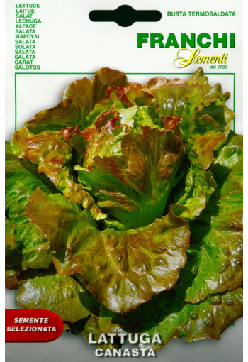 Lettuce "Canasta"