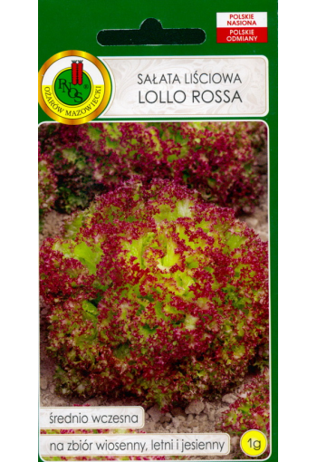 Lettuce "Lollo Rossa"