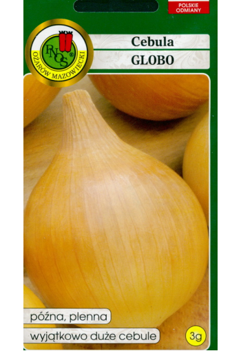 Onion "Globo"