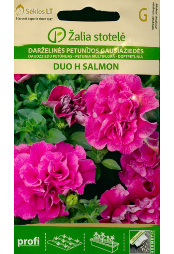 Petuunia mitmeõieline "Duo Salmon" F1
