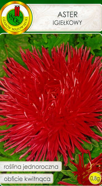 Aster "Red" (nõelaster)