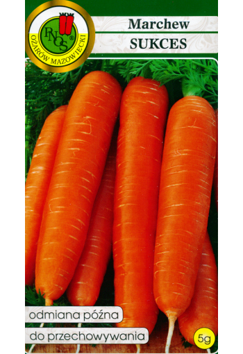 Морковь "Сакцес"