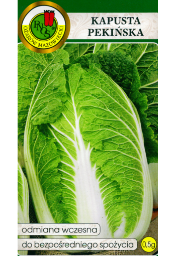 Chinese cabbage "Capitol"