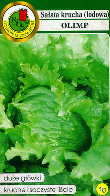 Lettuce iceberg "Olimp"