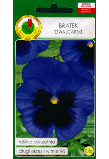 Pansy "Blue-black with yellow eye"