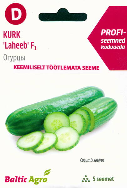 Salad cucumber "Laheeb" F1