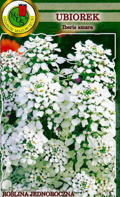 Bitter candytuft