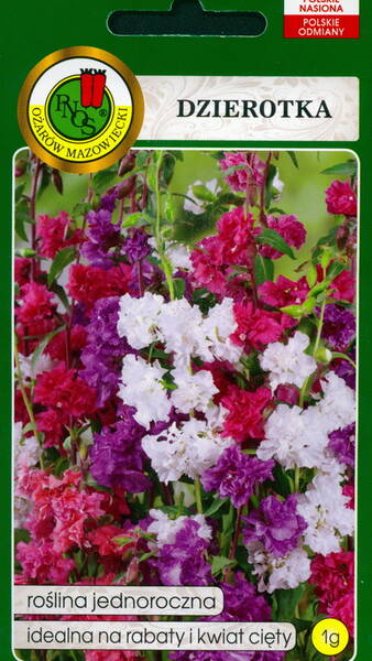 Clarkia (mix) Clarkia elegans