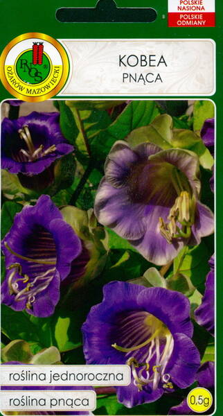 Vanikkuljus "Violet"