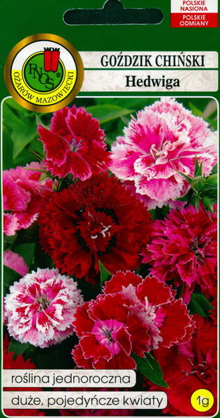 Гвоздика геддевига (смесь) Dianthus chinensis var. heddewigii