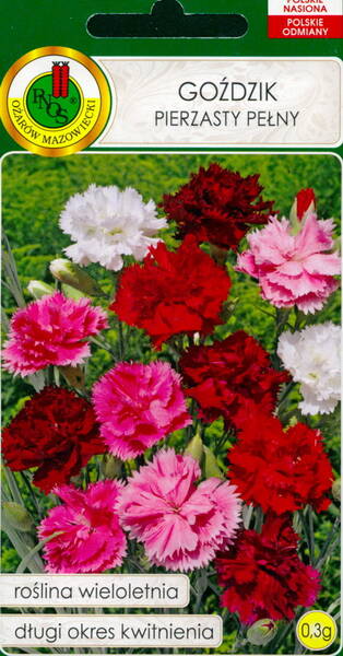 Fjädernejlika (double mix)