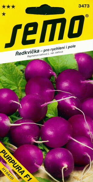 Redis "Purpura" F1 (violetne)