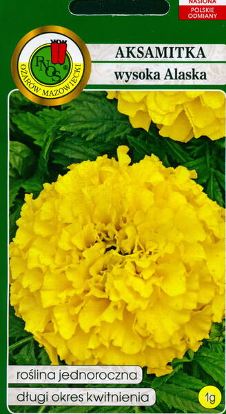 African marigold "Alaska"