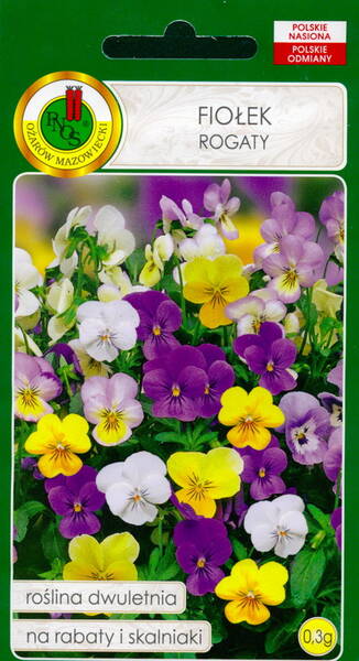 Horned pansy (tufted violet) (colour mix)