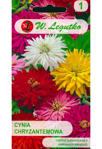Zinnia elegans f. chrysanthemum (mix)