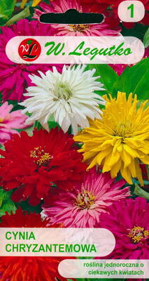 Zinnia elegans f. chrysanthemum (mix)