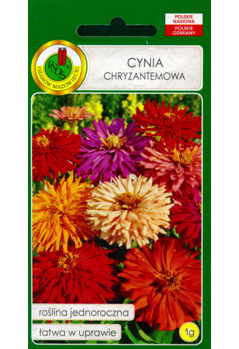 Zinnia elegans chrysanthemum flore pleno (mix)