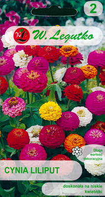 Zinnia "Lilliput" (dwarf mixture)