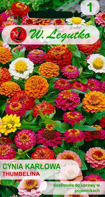 Elegant zinnia "Thumbelina" (extra dwarf mix)