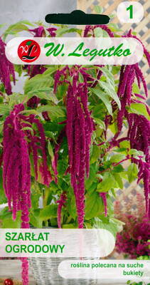 Love lies bleeding "Dark Red" (red-hot-cattail, tassel flower, velvet-flower)