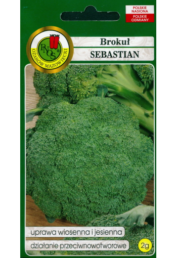Spargelkapsas brokkoli "Sebastian"