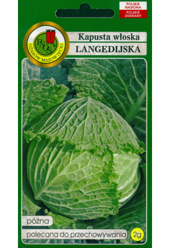 Savoy cabbage "Langedijker"
