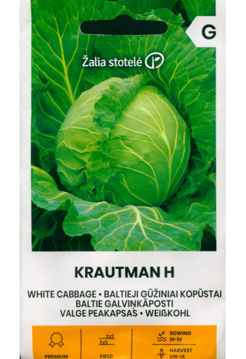 White Cabbage "Krautman" F1