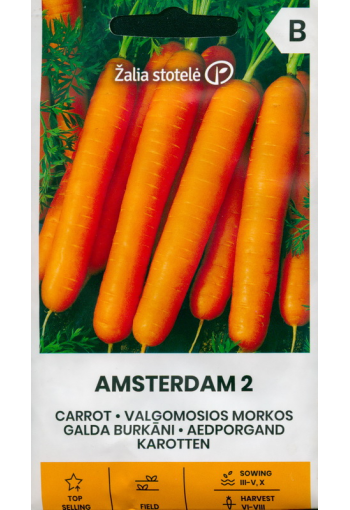Porkkana "Amsterdam 2"
