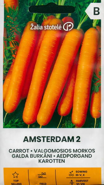 Porgand "Amsterdam 2"